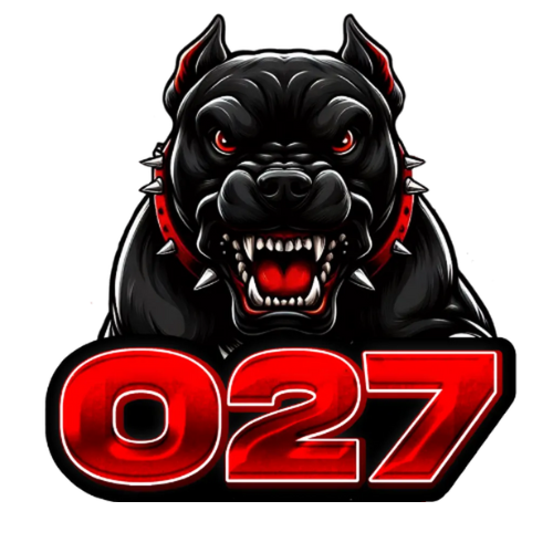 027 Solutions Logo